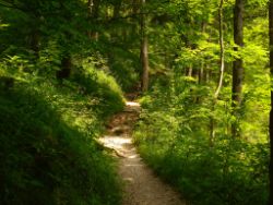2013-07-20_Regina-F-Rau_Kochel-Rabenkopf (046).JPG